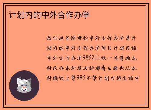 计划内的中外合作办学