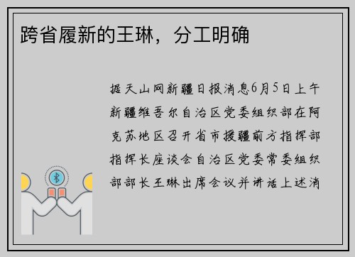 跨省履新的王琳，分工明确