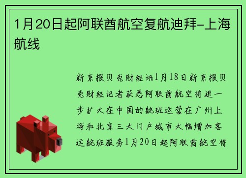 1月20日起阿联酋航空复航迪拜-上海航线