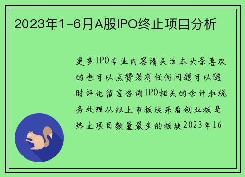 2023年1-6月A股IPO终止项目分析
