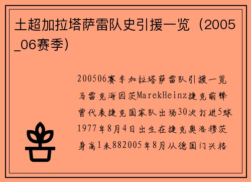 土超加拉塔萨雷队史引援一览（2005_06赛季）