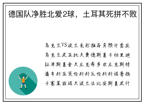 德国队净胜北爱2球，土耳其死拼不败