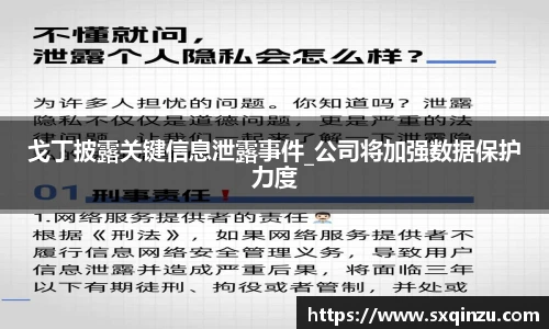 戈丁披露关键信息泄露事件_公司将加强数据保护力度