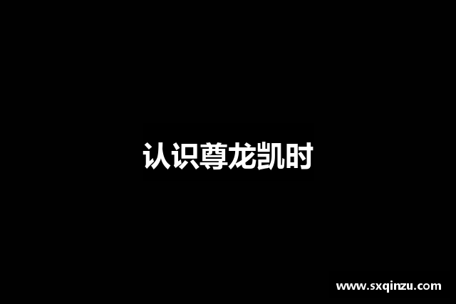 认识尊龙凯时
